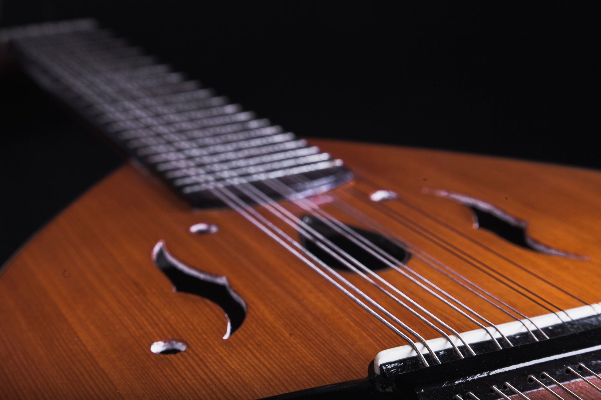 Conoce el laúd, un antepasado de la guitarra